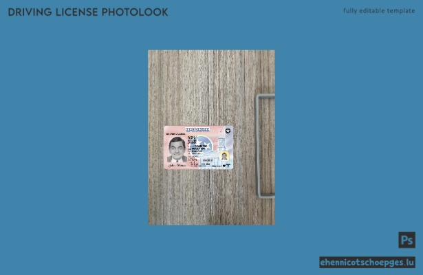 USA Tennessee Führerschein Fotoansicht 2024-heute